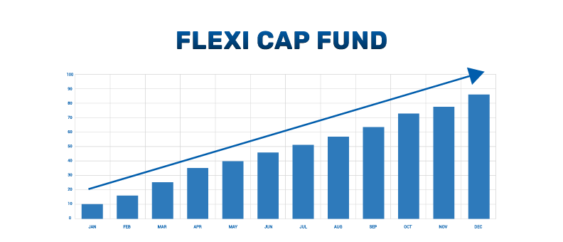 Understanding-the-growth-potential-of-flexi-cap-funds-in-emerging-markets.png