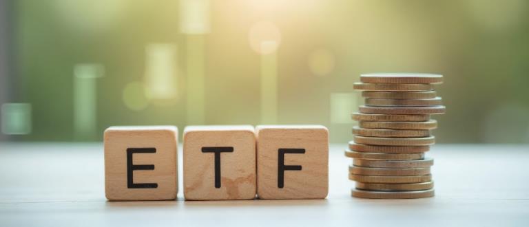 Broad market index fund