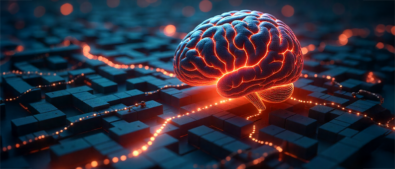 Hindsight Bias Why You Think You Knew It All Along.png