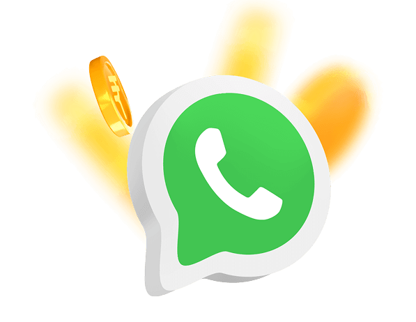 WhatsApp Partner Channel