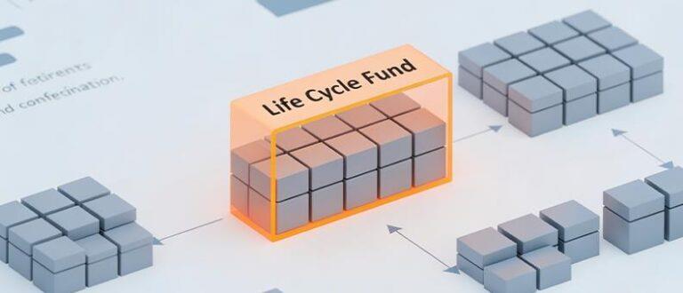 Life Cycle Funds